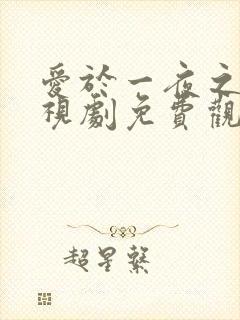 爱于一夜之间电视剧免费观看在线播放
