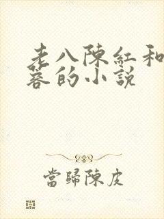 老八陈红和陈法蓉的小说