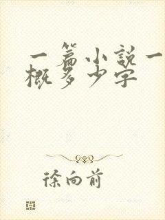 一篇小说一章大概多少字