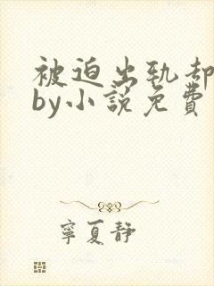 被迫出轨却上瘾by小说免费阅读