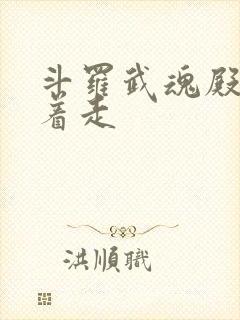 斗罗武魂殿我横着走