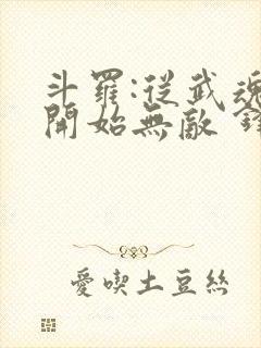 斗罗:从武魂殿开始无敌 锋feng封面