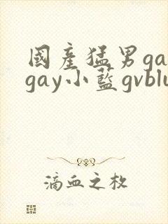 国产猛男gaygay小蓝gvblue