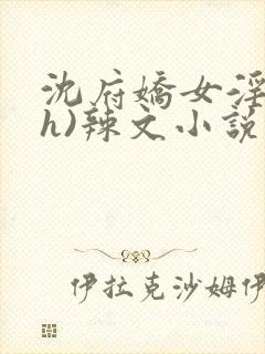 沈府娇女淫史(h)辣文小说