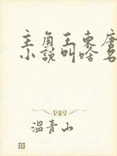主角王东唐潇的小说叫啥名字
