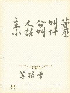主人公叫萧辰的小说叫什么名字封面