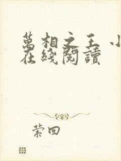 万相之王 小说在线阅读
