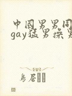 中国男男同性恋gay猛男操男 porn sex封面