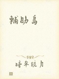 辅助岛