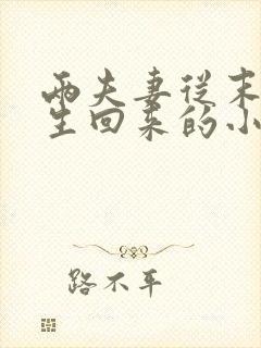 两夫妻从末世重生回来的小说