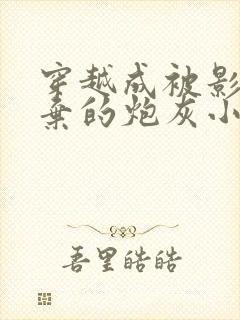穿越成被影帝抛弃的炮灰小说免费