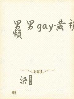 男男gay黄视频封面