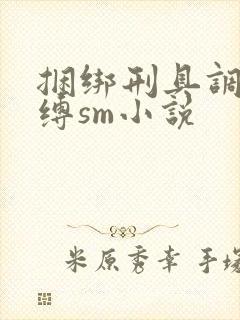 捆绑刑具调教束缚sm小说