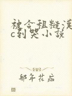 被合租糙汉室友c到哭小说封面