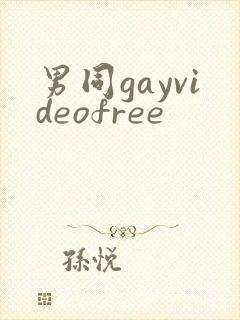男同gayvideofree