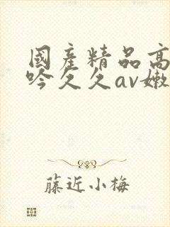 国产精品高潮呻吟久久av嫩