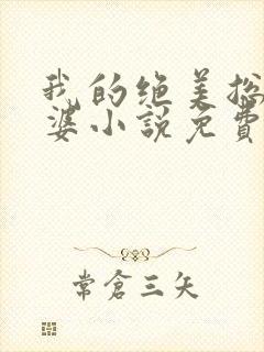 我的绝美总裁老婆小说免费
