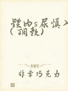 体内s尿慎入h( 调教)