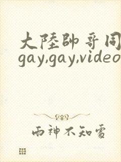 大陆帅哥同性恋gay,gay,videos