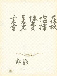 完美伴侣在线观看免费播放全集
