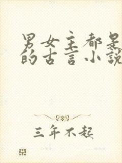 男女主都是将军的古言小说