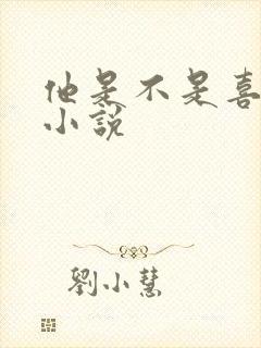 他是不是喜欢我小说封面