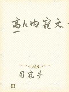 高h肉宠文一对一