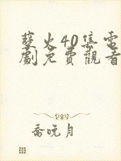 孽火40集电视剧免费观看