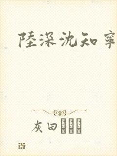 陆深沈知宁结局封面