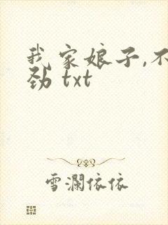 我家娘子,不对劲 txt