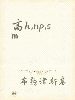 高h,np,sm