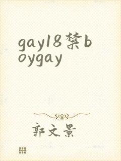 gay18禁boygay