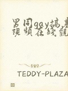 男同gay搞基视频在线观看