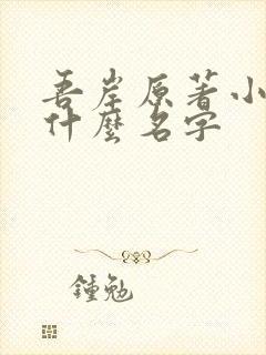 书籍封面