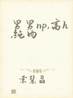 男男np,高h,纯肉