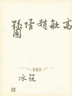 孙倩赵敏高义大团封面