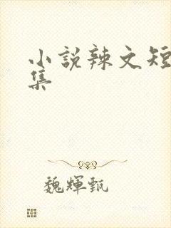 小说辣文短篇合集