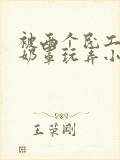 被两个民工脱了奶罩玩弄小说封面