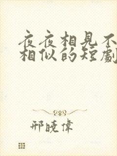 夜夜相见不识君相似的短剧