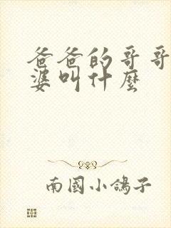 爸爸的哥哥的老婆叫什么封面