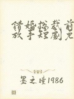 错婚总裁前夫请放手短剧免费观看