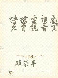 借枪电视剧全集免费观看完整版高清封面