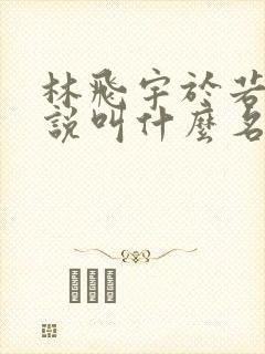 林飞宇于若曦小说叫什么名字