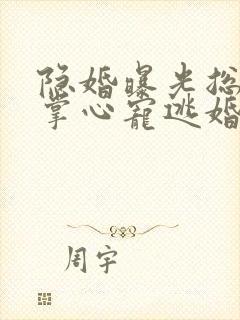 隐婚曝光总裁的掌心宠逃婚了小说免费阅读