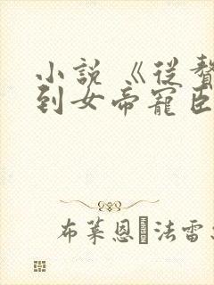小说 《从赘婿到女帝宠臣》