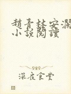 赵青林安澜正版小说阅读