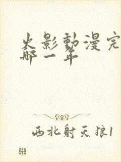 火影动漫完结是哪一年