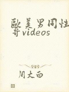 欧美男同性恋帅哥videos