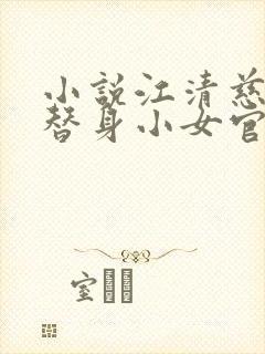 小说江清慈祁渊替身小女官,腹黑帝王沦陷