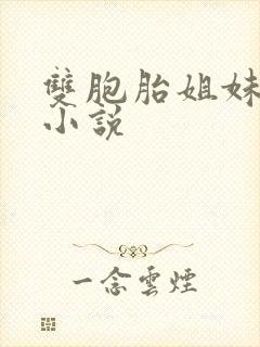 双胞胎姐妹花h小说
